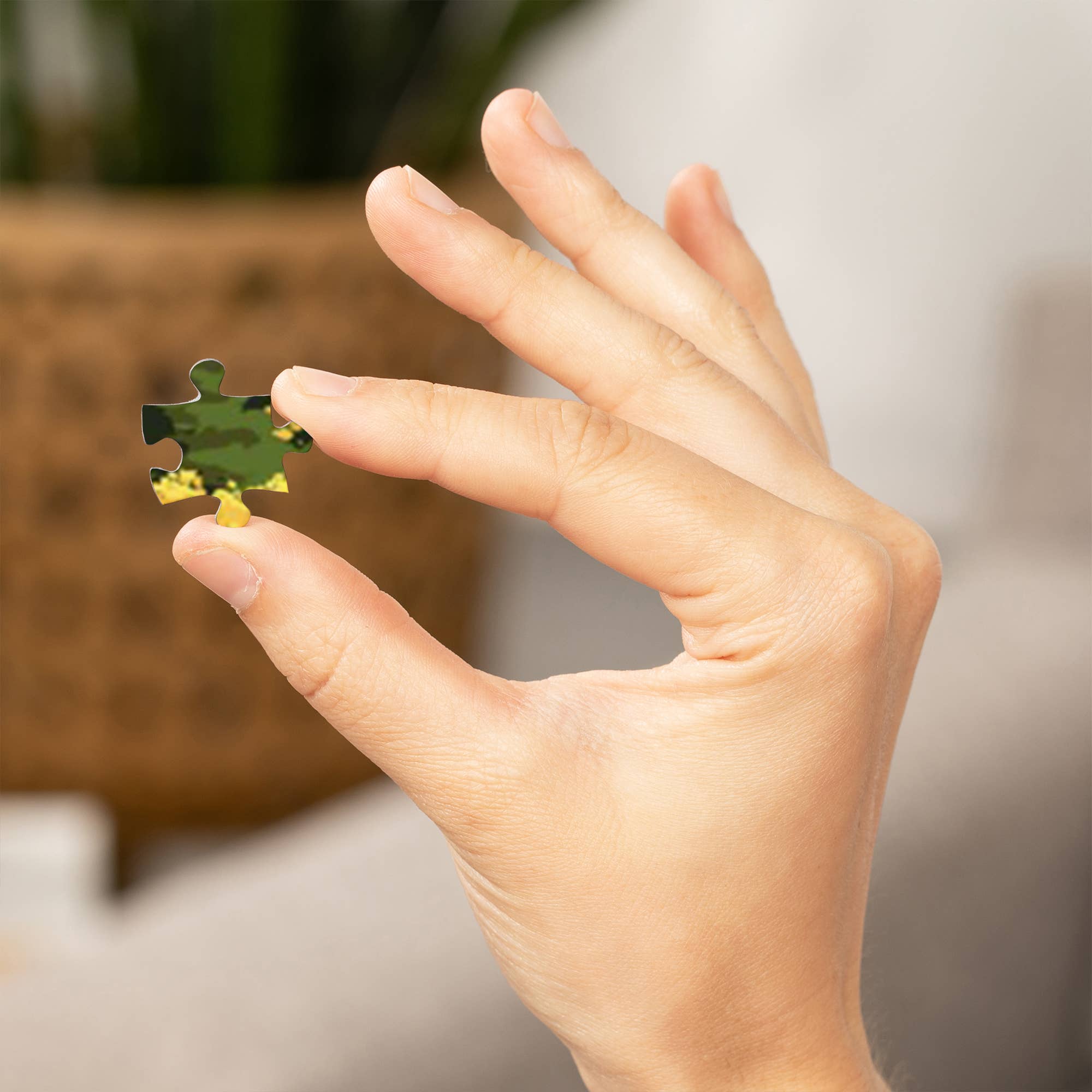 Steamboat Jigsaw Puzzles