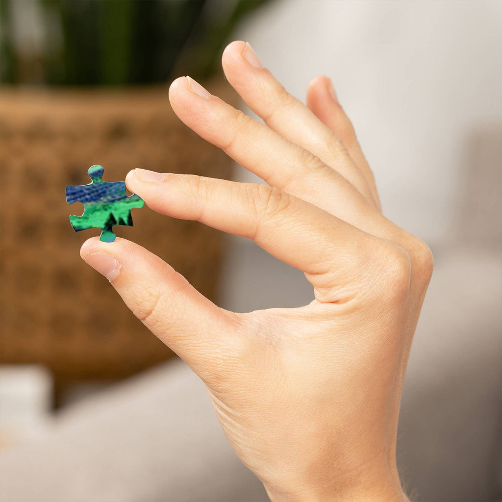 1000 PIECE PUZZLE Colorado, Starry Night, Northern Lights