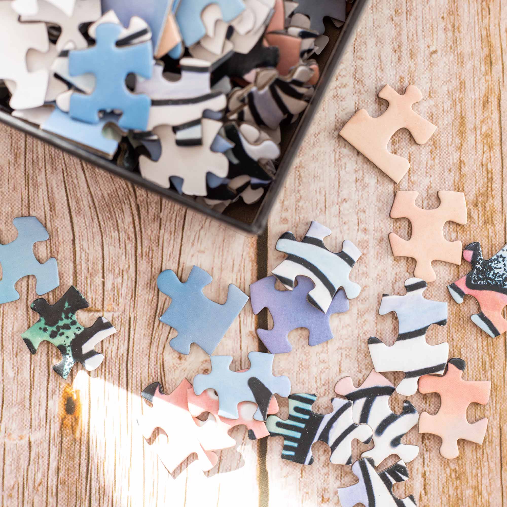 Ski Girl Jigsaw Puzzle – 1000 Piece