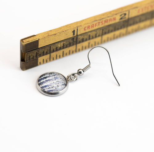 Stainless Steel and Glass Earrings