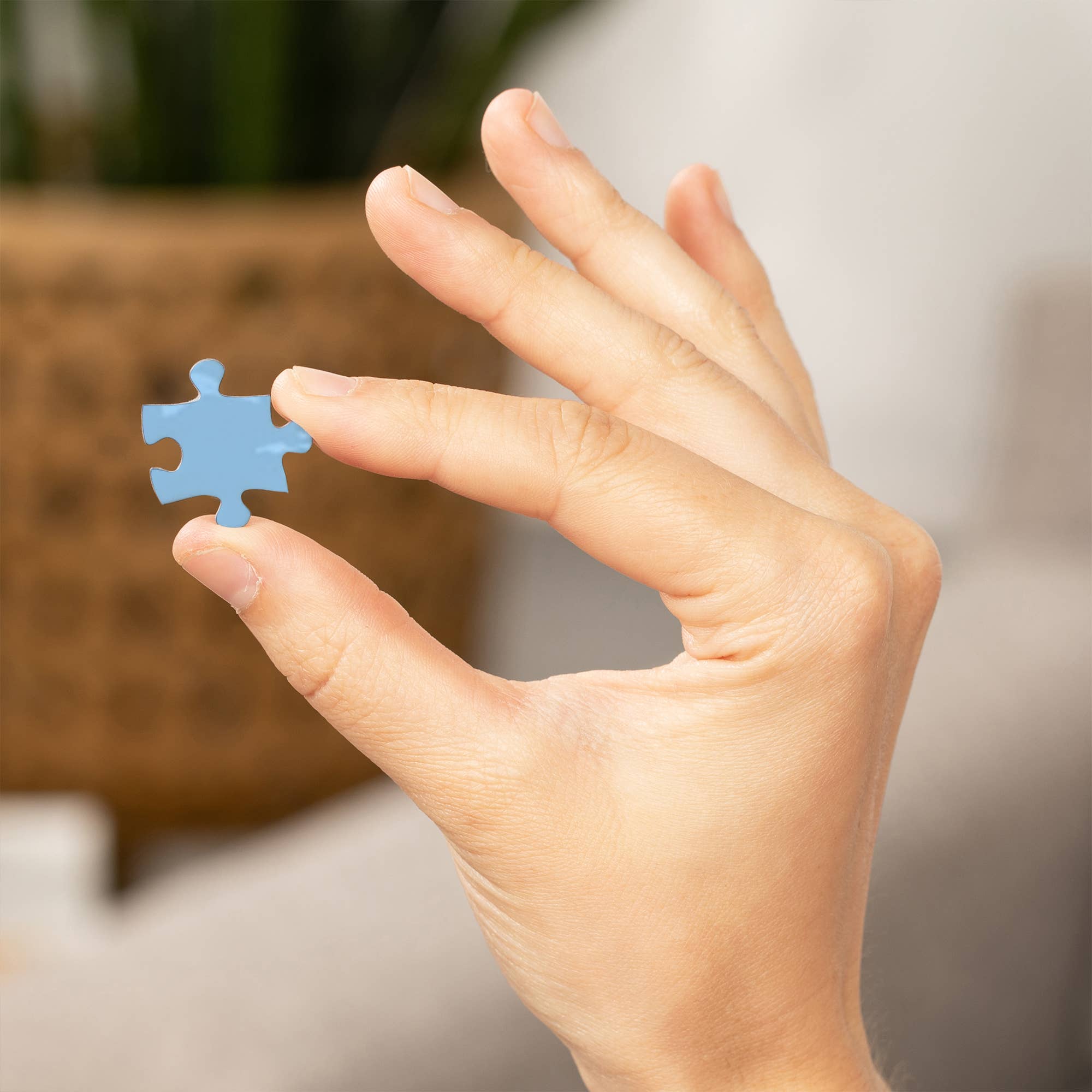 Steamboat Jigsaw Puzzles