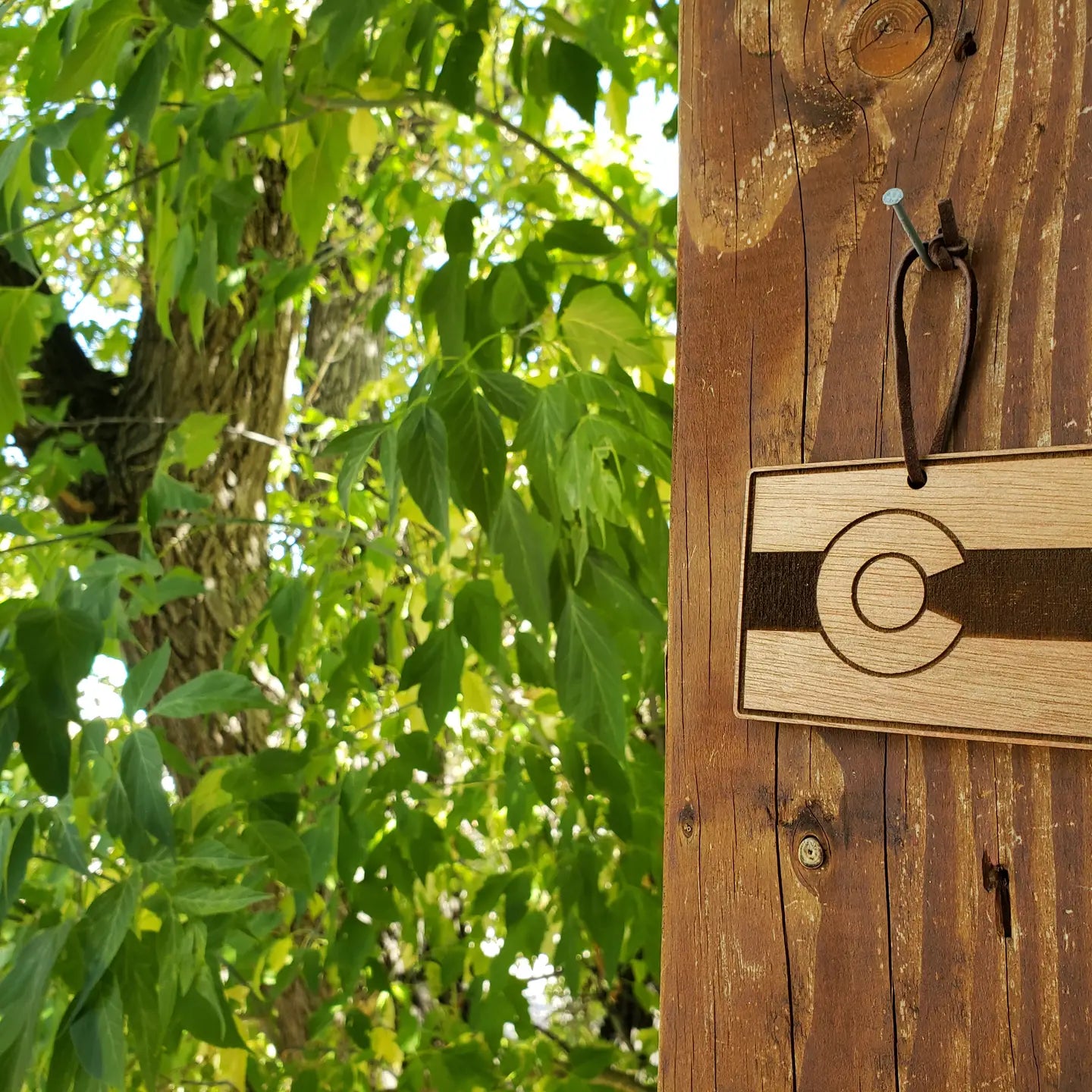 Hand-painted Birch Ornaments