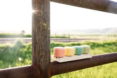 Steamboat Soap Company Steamboat Shampoo Bar - Handmade & Natural