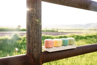 Handmade & Natural Local Colorado Shampoo Bar