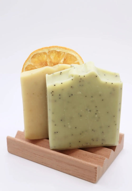Soap Dish