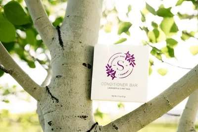 Steamboat Soap Company Steamboat Conditioner Bar - Handmade & Natural