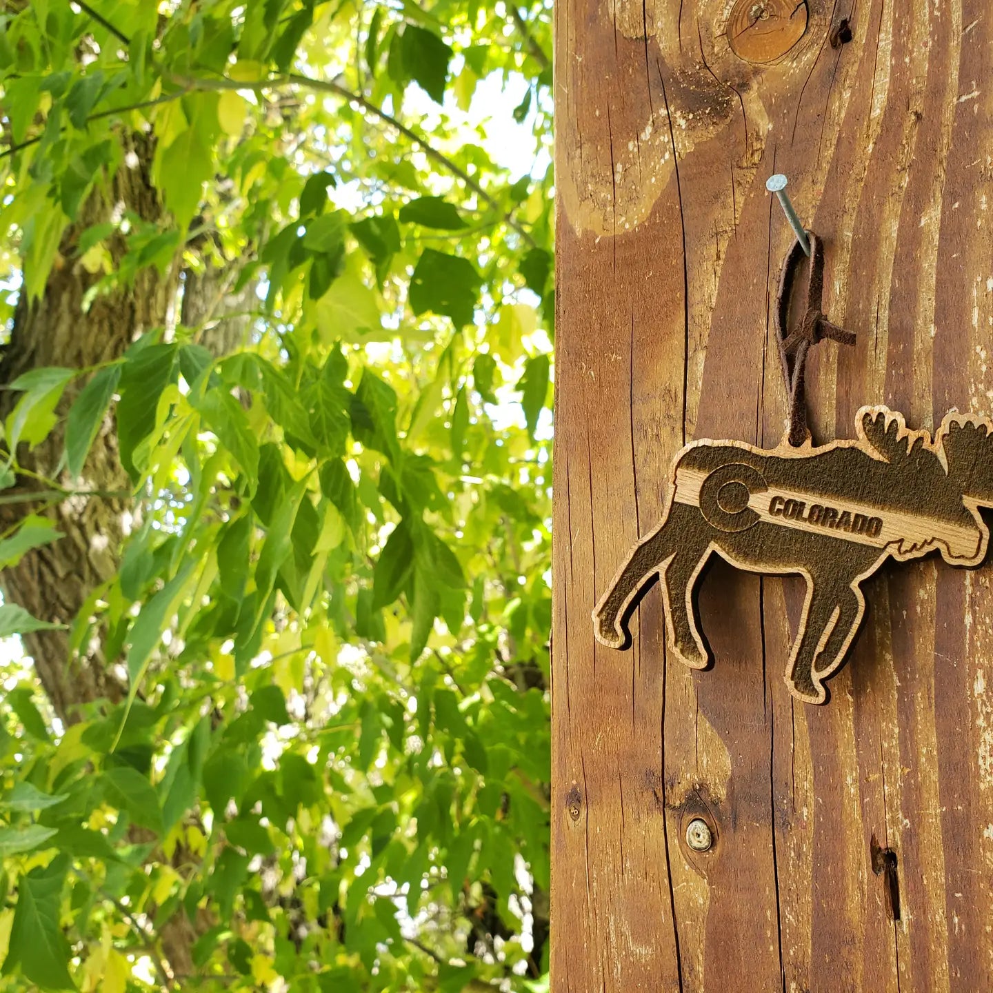 Hand-painted Birch Ornaments