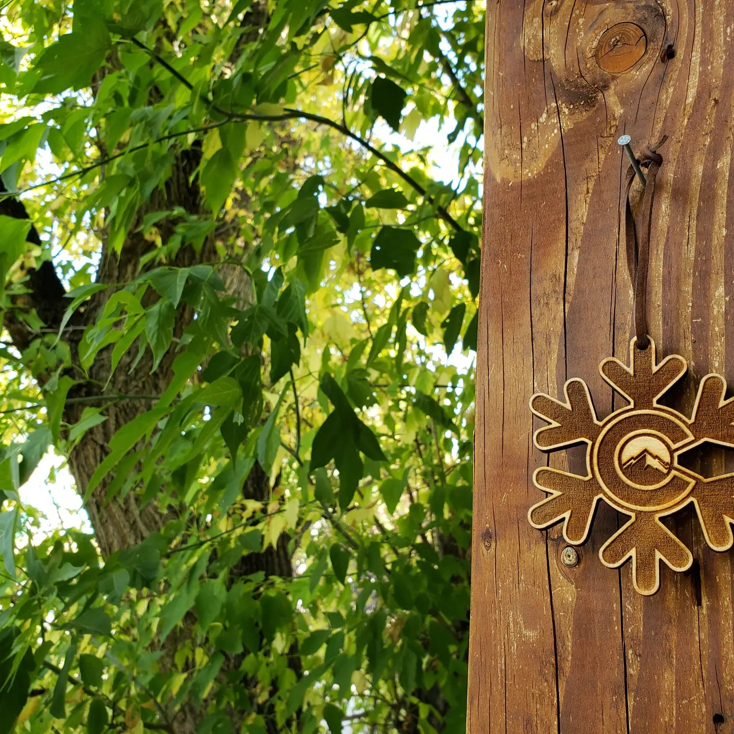 Hand-painted Birch Ornaments