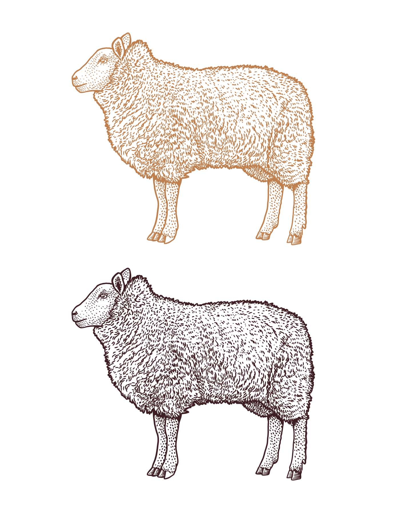 Heroes Wool Fleece Jacket