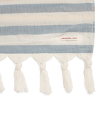 Amundsen Travel Beach Towel