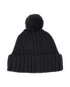 Amundsen Groomer Beanie